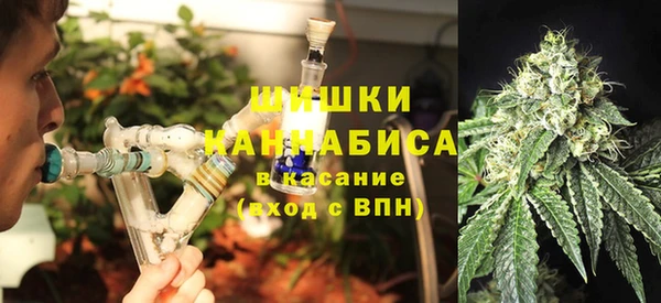 PSILOCYBIN Алексин