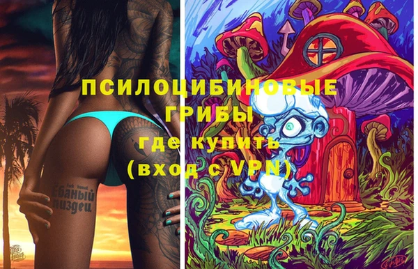 PSILOCYBIN Алексин
