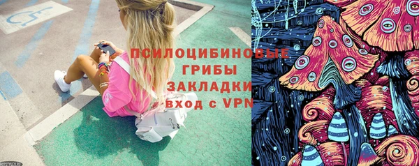 PSILOCYBIN Алексин